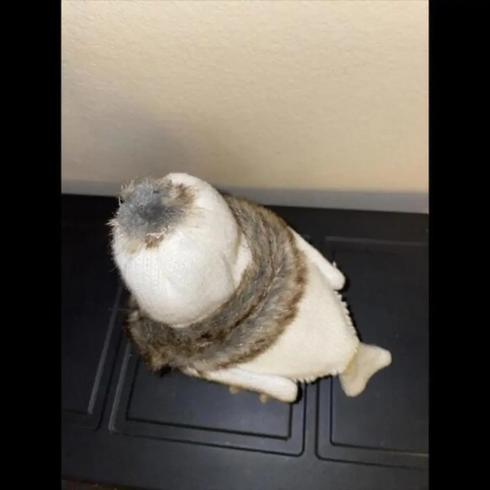 Rare!! Target Spritz‎ “SIERRA” Winter Bird 2017 Hat Scarf